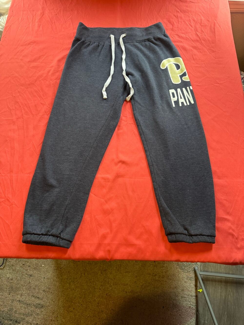 Pitt Panthers Colosseum Jogger Sweatpants Heather Gray Size Small Mint Graphic